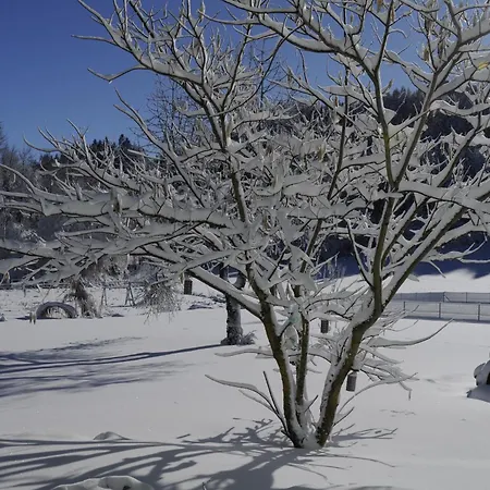 Appartement Stille Paradies *