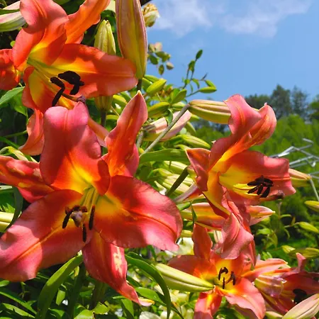 아파트 Stille Paradies *