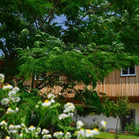 Stille Paradies 아파트 레데닛젠