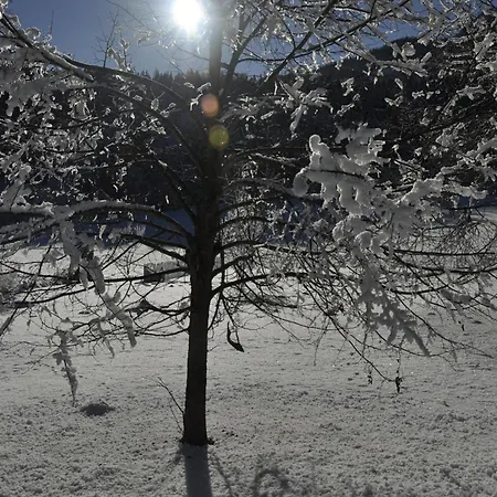 Stille Paradies * 레데닛젠