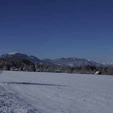 Stille Paradies Apartman
