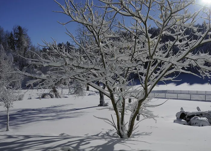 Apartment Stille Paradies *