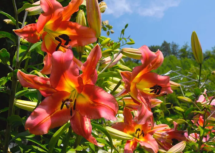 Apartment Stille Paradies *